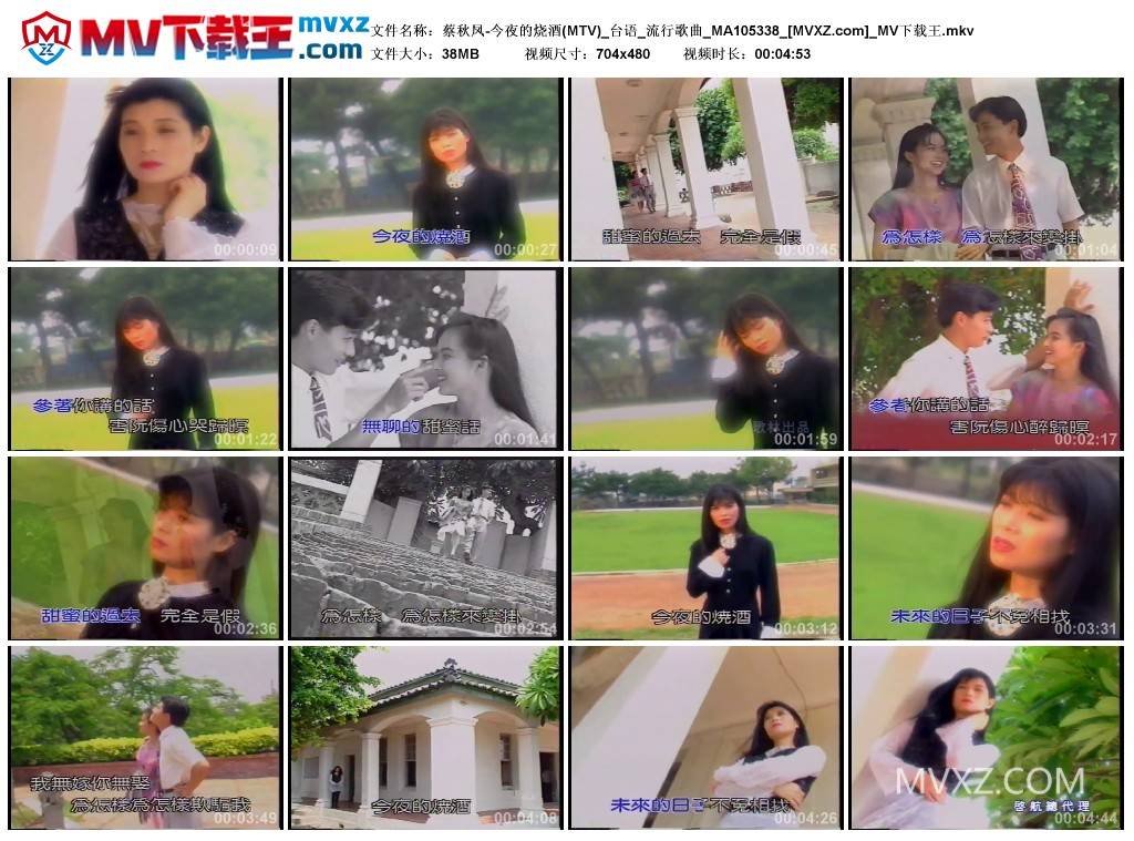 蔡秋凤-今夜的烧酒(MTV)_台语_流行歌曲_MA105338